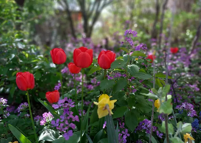 Delta Garden I